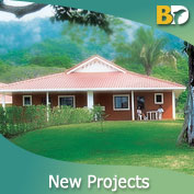 New Projects